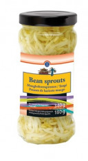 Bean Sprouts 340g foto