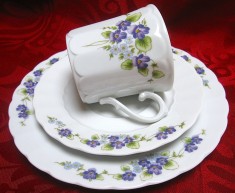 SET MIC DEJUN PORTELAN ESCHENBACH BAVARIA DECOR CU VIORELE SI FLORI DE NU MA UITA CEASCA CAFEA CU FARFURII