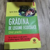 GRADINA DE LEGUME ECOLOGICE - AGNES GEDDA