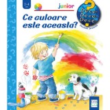 Cumpara ieftin Ce culoare este aceasta - Colectia De ce? De ce? De ce? - Doris Rubel, Casa