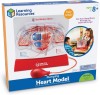 Macheta inima - Pomparea sangelui PlayLearn Toys, Learning Resources