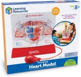 Macheta inima - Pomparea sangelui PlayLearn Toys, Learning Resources