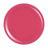 Cumpara ieftin Gel Colorat UV PigmentPro LUXORISE - Wild Scarlet, 5ml