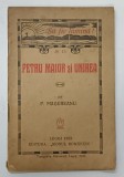 SA FIE LUMINA , PETRU MAIOR SI UNIREA de P . MAGUREANU , 1923 * FORMAT MIC