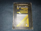 Cumpara ieftin V CONSTANTINESCU - INDRUMATOR IN IMAGINI PENTRU FINISAJE INTERIOARE