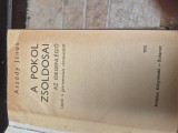 A pokol szoldosai lb. maghiara vintage