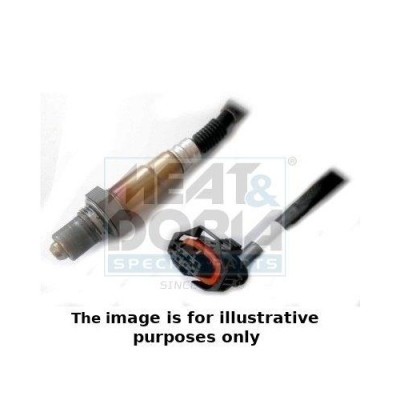 Meat &amp;amp;amp; Doria Sonda Lambda foto