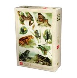 Puzzle adulti Deico Encyclopedia Puzzle - Frogs, 1000 piese