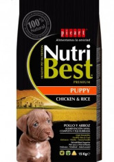 NutriBest Premiun Junior 15Kg foto