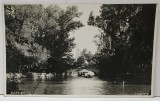 BUCURESTI , VEDERE DE PE LACUL CISMIGIU , SPRE POD ( ASTAZI RENOVAT ) , CARTE POSTALA ILUSTRATA , PERIOADA INTERBELICA