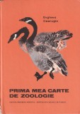 Evgheni Cearusin - Prima mea carte de zoologie