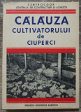 Calauza cultivatorului de ciuperci - N. Mateescu, Ec. V. Benea// 1972