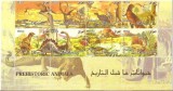 IRAQ 2010 FAUNA AANIMALE PRESITORICE DINOZAURI