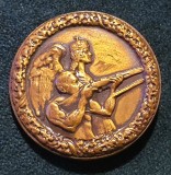 Insigna Austro Ungara WW1
