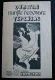 Dumitru Țepeneag - Nunțile necesare