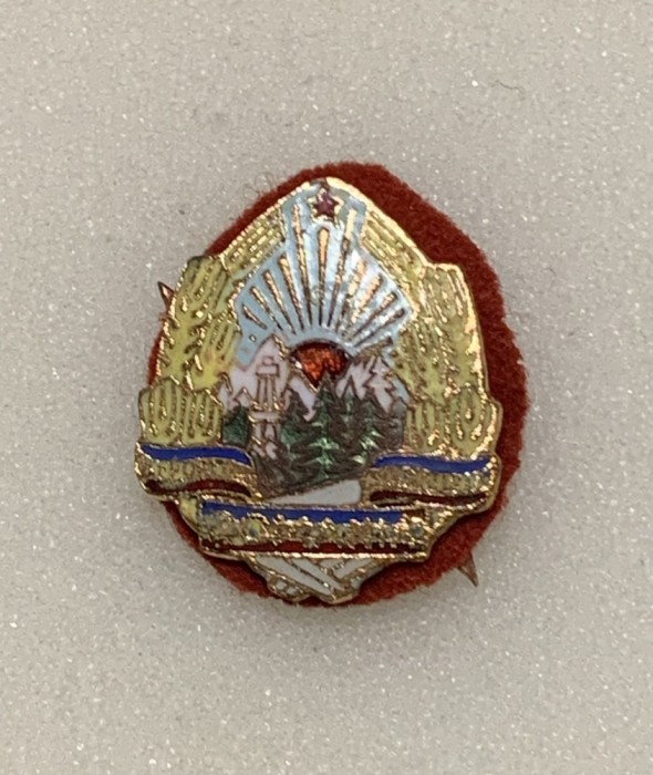 Insigna militară