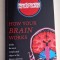 How Your Brain Works (New Scientist Instant Expert) - John Murray