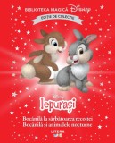 Cumpara ieftin Iepurasi. Bocanila la sarbatoarea recoltei. Bocanila si animalele nocturne. Volumul 99. Disney. Biblioteca magica, editie de colectie