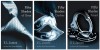 Carte limba engleza: E.L. James - Fifty Shades of Grey ( trilogia - ca noi )