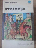 STRAMOSII-RADU THEODORU