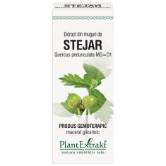 Extract Muguri Stejar 50ml PlantExtrakt