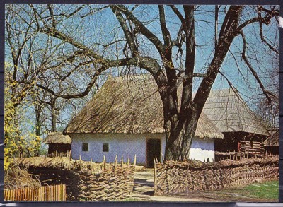 AMS - ILUSTRATA 128 MUZEUL SATULUI SI DE ARTA POPULARA, ALBA, RSR, NECIRCULATA foto