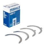 Mahle Saiba distantier, arbore cotit
