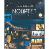Cumpara ieftin Ce Se Intampla Noaptea? (Usborne), Laura Cowan - Editura Univers Enciclopedic