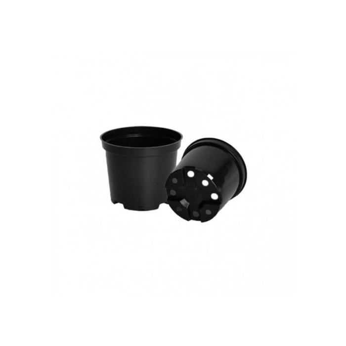 Set 6 ghivece rasad, diametru 19 cm