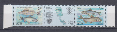 URSS RUSIA 2000 FAUNA MARINA SERIE CU VINIETA MNH foto