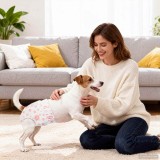 vidaXL Pantaloni absorbanti de unică folosință pentru c&acirc;ini femele 30 pcs 42025282