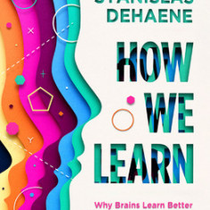 How We Learn: Why Brains Learn Better Than Any Machine . . . for Now