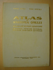 RANGA / DIMITRIU - ATLAS DE ANATOMIA OMULUI ( SISTEMUL NERVOS CENTRAL ) - 1993 foto