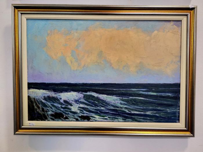 Pictura &quot;Nori deasupra marii&quot; - Dorin Barbu