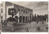 CPIB 22149 - CARTE POSTALA - CLUJ. MUZEUL BOTANIC, RPR, Necirculata, Fotografie