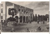 CPIB 22149 - CARTE POSTALA - CLUJ. MUZEUL BOTANIC, RPR