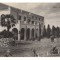 CPIB 22149 - CARTE POSTALA - CLUJ. MUZEUL BOTANIC, RPR