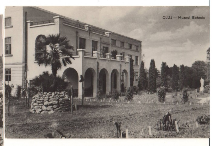 CPIB 22149 - CARTE POSTALA - CLUJ. MUZEUL BOTANIC, RPR