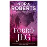 Forr&oacute; j&eacute;g - Nora Roberts
