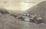 Sinaia. Vedere generala cu munti (circulata 1921)
