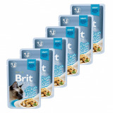 Pungă BRIT Premium Cat Pui &icirc;n sos gravy 6 x 85 g