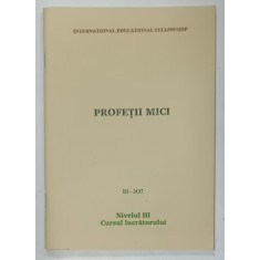 PROFETII MICI , NIVELUL III : CURSUL LUCRATORULUI , 1993