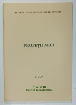 PROFETII MICI , NIVELUL III : CURSUL LUCRATORULUI , 1993 foto