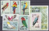 DB1 Fauna Pasari Ras al Khaima Papagali 6 v. NDT + SS DT MNH, Nestampilat