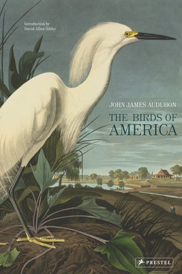The Birds of America foto