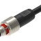 Cablu LUMBERG AUTOMATION M12 5 pini drept 5m pentru senzori și automatizări PP12M-MSSV5A-0253-0500