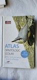 ATLAS ORNITOLOGIC SCOLAR DE BUZUNAR 130 DE SPECII COMUNE DE PASARI DIN ROMANIA EDITURA CD PRESS MAGAZIN TERRA LUMEA PE CARE O DESCOPERI