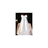 Cumpara ieftin Voal Mireasa cu Funda Alba