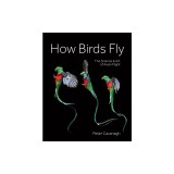 How Birds Fly: The Science and Art of Avian Flight