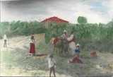A3997N Țărani rom&acirc;ni cu măgar, fotografie colorizată manual, Vechiul Regat, perioada interbelică